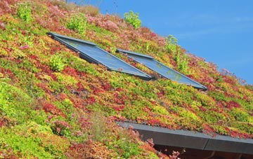 West Rounton living roof systems